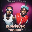Shallipopi – Elon Musk (Remix) Ft. Zlatan